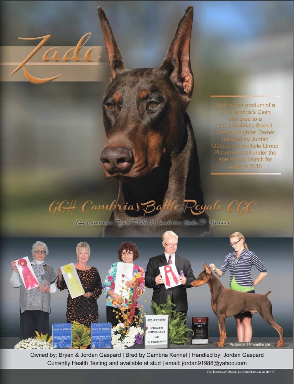 About Us – Cambria Dobermans